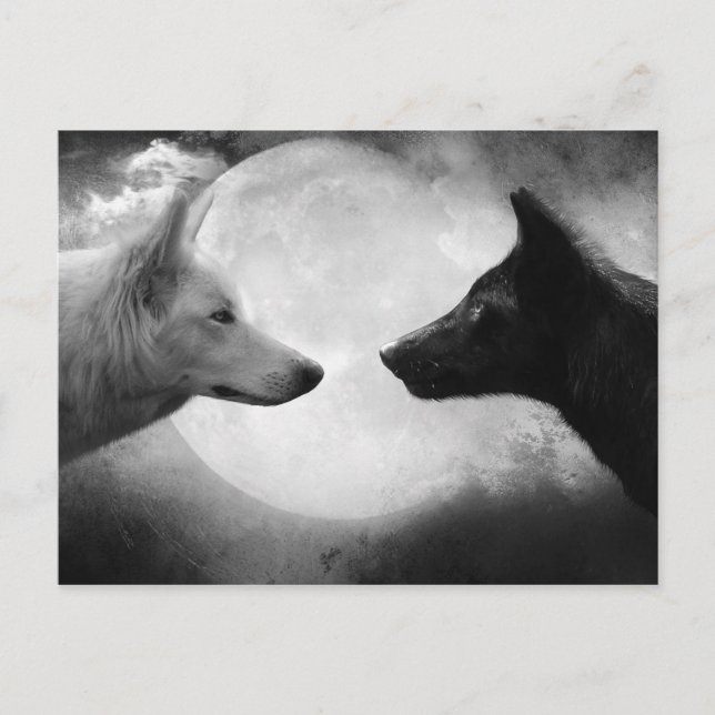 Carte Postale Loups (Devant)