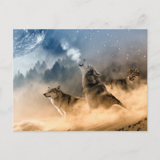 Carte postale/Loups (Devant)