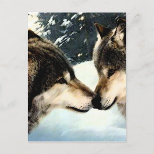 Carte Postale Loups Loup Neige hiver Neige Couple Amour