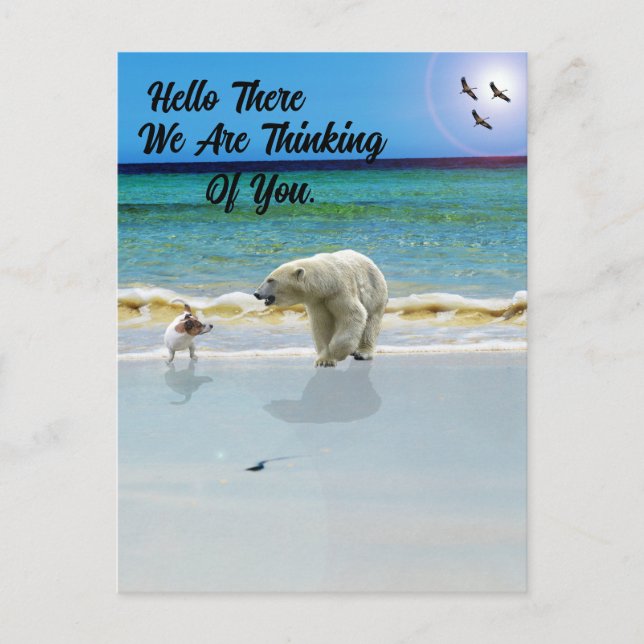 Carte Postale L'Ours Polaire Rencontre Jack Russell, Bonjour Car (Devant)