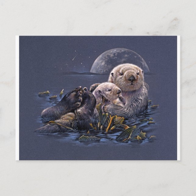 Carte Postale Loutres au clair de lune (Devant)
