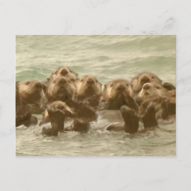 Carte Postale Loutres de mer (Devant)