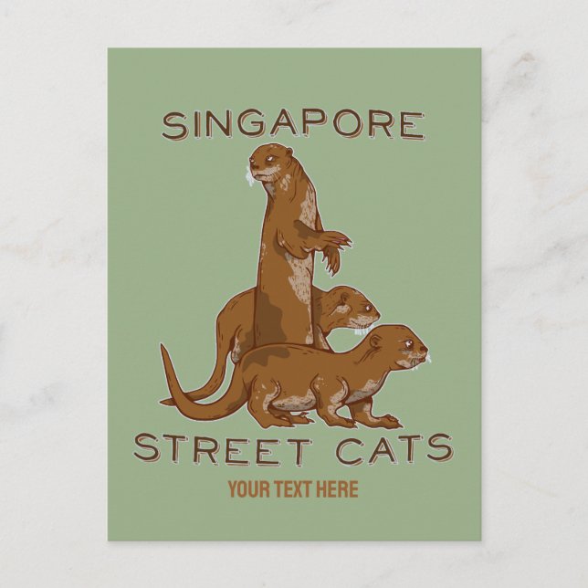 Carte Postale Loutres de mer à Singapour (Devant)