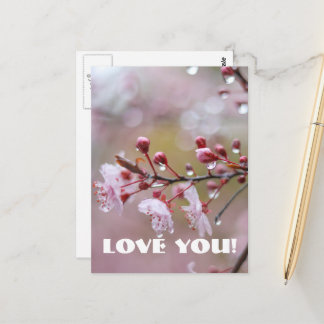 Carte postale Love