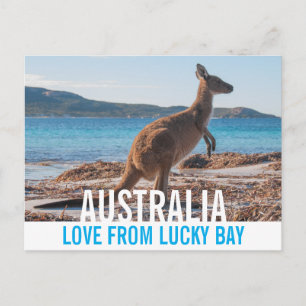 Carte Postale Love From Australia Kangaroo Lucky Bay Photo
