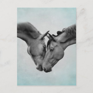 Carte Postale Love Horses