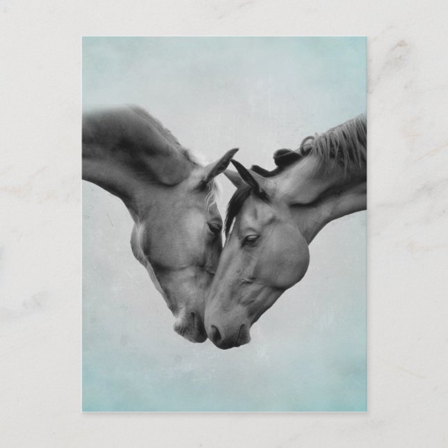 Carte Postale Love Horses (Devant)