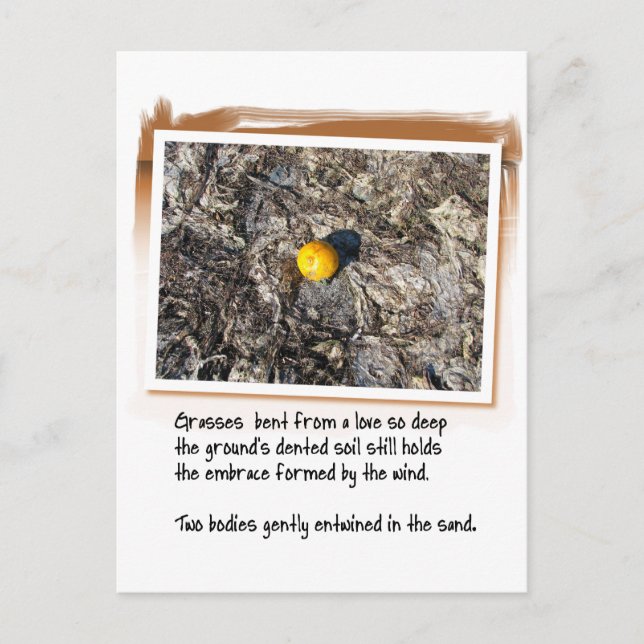 Carte Postale Love Poem et Beached Orange (Devant)