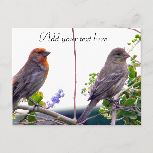 Carte postale Love You_ (Devant)