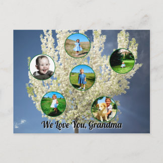 Carte Postale Love You Grandma White Blossoming Tree Six Photos 