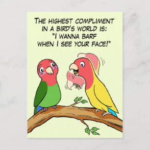 Carte Postale Lovebird perroquet et la façon d'oiseau dire je t'