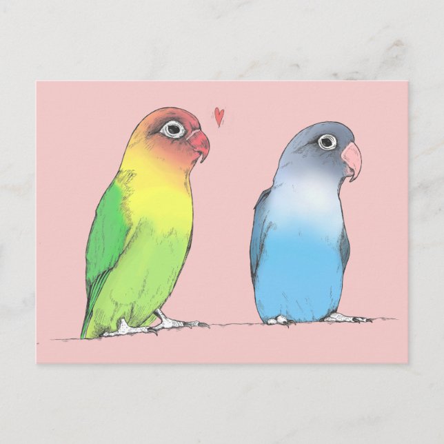 Carte postale Lovebirds d'une couleur différente (Devant)