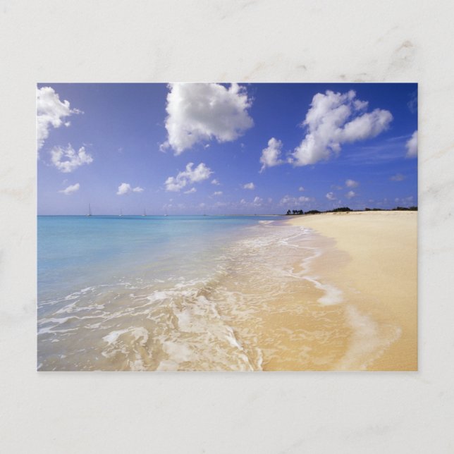 Carte Postale Low Bay Beach, Barbuda, Antigua (Devant)