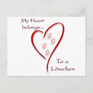 Carte Postale Löwchen Coeur Belongs