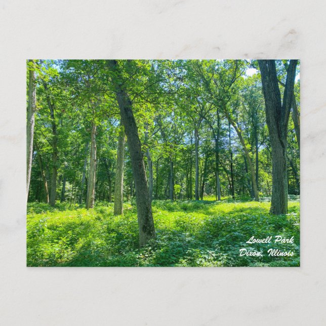 Carte postale Lowell Park Dixon Illinois (Devant)
