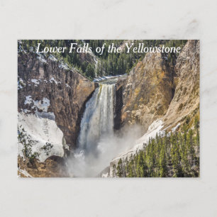 Carte Postale Lower Falls of Yellowstone
