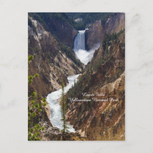 Carte Postale Lower Falls Yellowstone