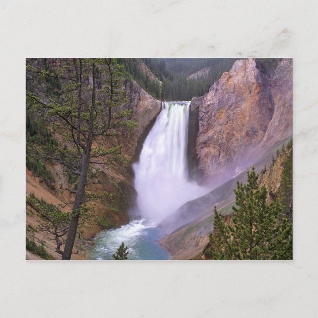 Carte Postale Lower Yellowstone Falls, Grand Canyon de (Devant)
