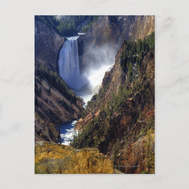 Carte Postale Lower Yellowstone Falls, Yellowstone National (Devant)