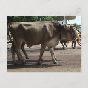 Carte Postale L'oxyde