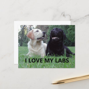 Carte Postale LR I Love My Labs avec photo