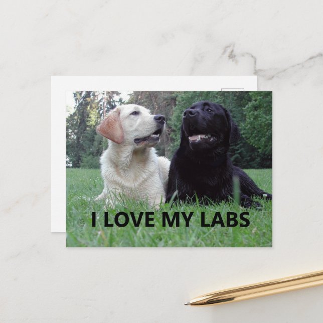 Carte Postale LR I Love My Labs avec photo (Devant/Arrière en situation)