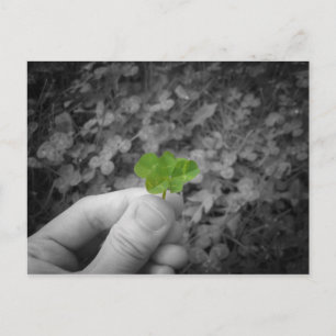 Carte Postale Lucky 6 (version de couleur sélective)