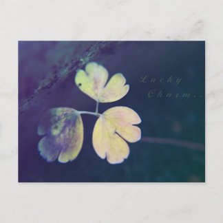 Carte postale Lucky Charm
