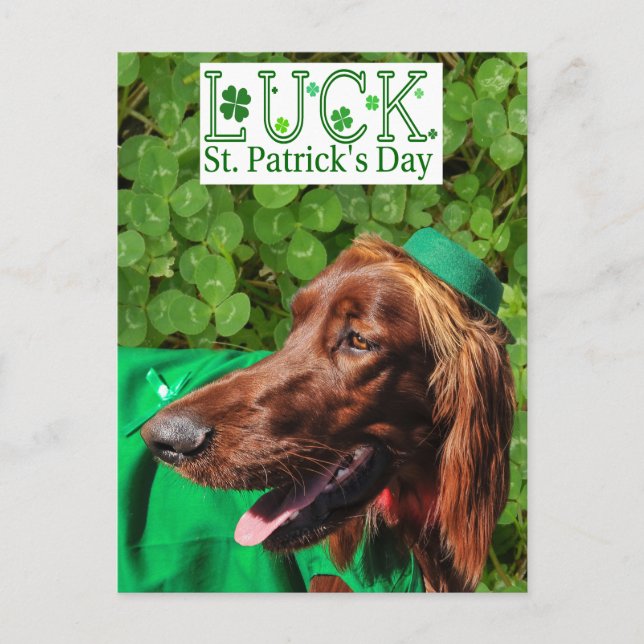 Carte Postale Lucky Irish Setter St. Patrick's Day Postcard (Devant)