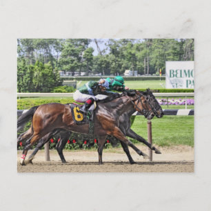 Carte Postale Luis Saez sur Milesmore au Belmont Park