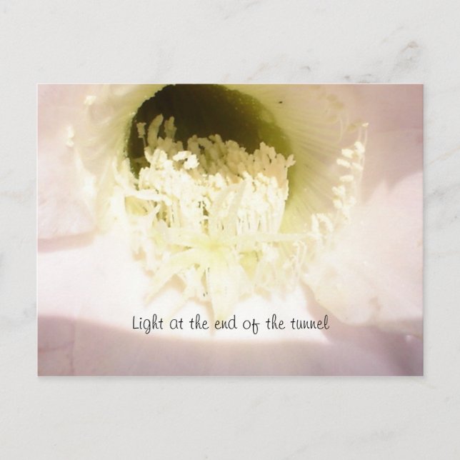 Carte Postale Lumière au bout du tunnel (Devant)