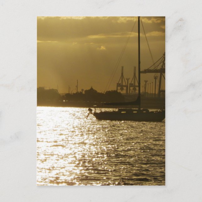 Carte Postale Lumière de bateau doré (Devant)