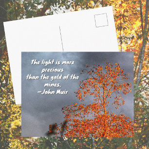 Carte Postale Lumière dorée de l'arbre d'automne Citation de Joh