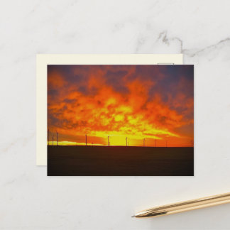 Carte Postale Lumière du matin