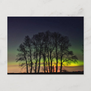Carte Postale Lumière du Nord   Manitoba Canada Grande Pointe