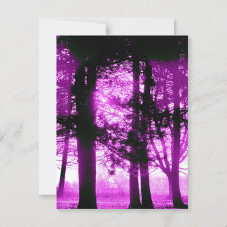 Carte Postale Lumière violette avec arbres silhouettes