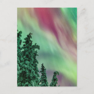 Carte Postale Lumières du Nord   Hiver à Glennallen, Alaska
