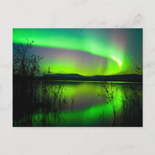 Carte Postale Lumières du Nord mises en miroir sur le lac (Devant)