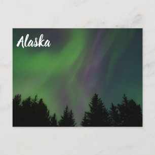 Carte Postale Lumières du Nord sur l'Alaska