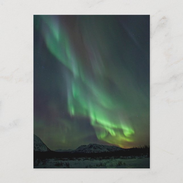 Carte Postale Lumières du Nord | Whitehorse, Yukon (Devant)