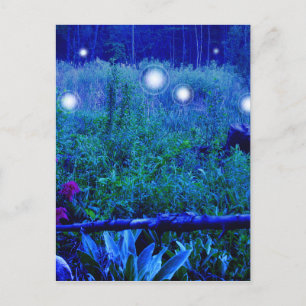 Carte Postale Lumières Spirit Bleu Nuit Marshy Meadow Orbes