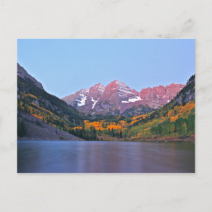 Carte Postale Luminosité du marron