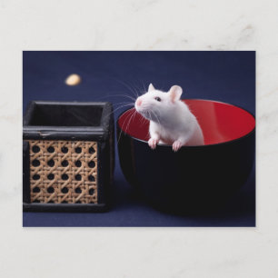 Carte postale Luna Table