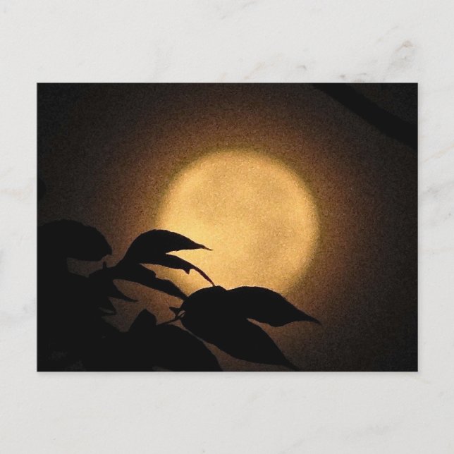 Carte Postale Lune d'automne (Devant)