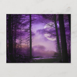 Carte Postale Lune de minuit - Violet