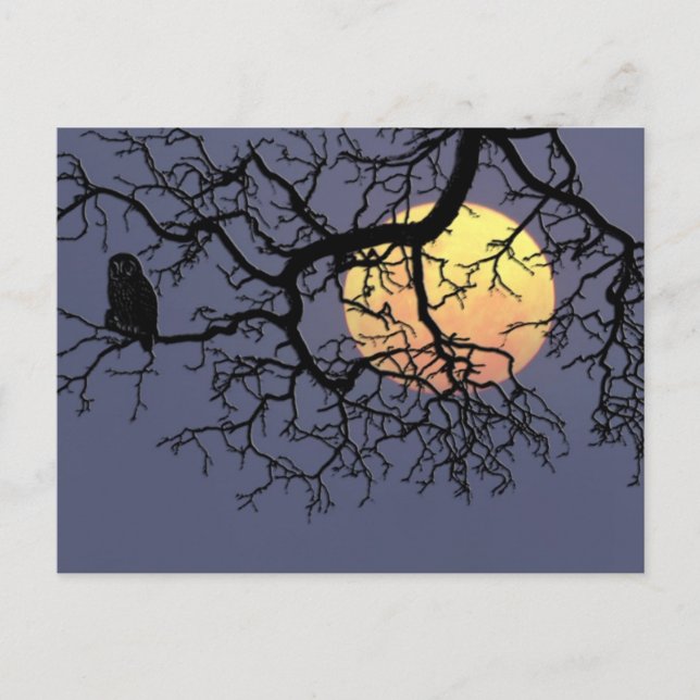 Carte Postale Lune de sang et Chouette de nuit dans la silhouett (Devant)