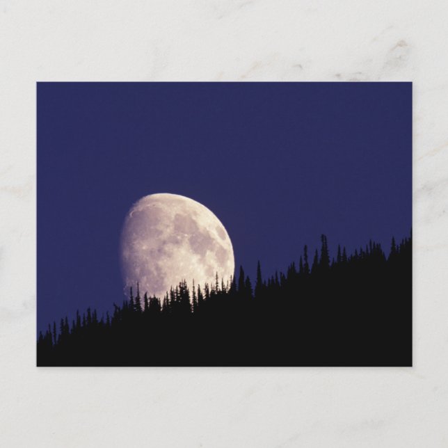Carte Postale Lune et forêt | Parc national du Glacier Montana (Devant)