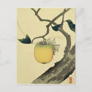 Carte Postale Lune, Persimmon et Grasshopper, 1807