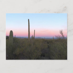 Carte Postale Lune rose sur Saguaro au lever du soleil