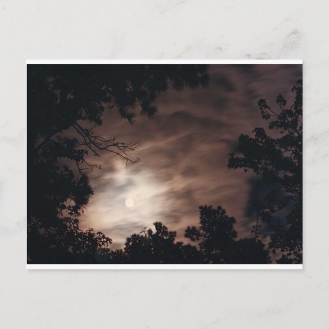 Carte Postale Lune sur Charleston (Devant)
